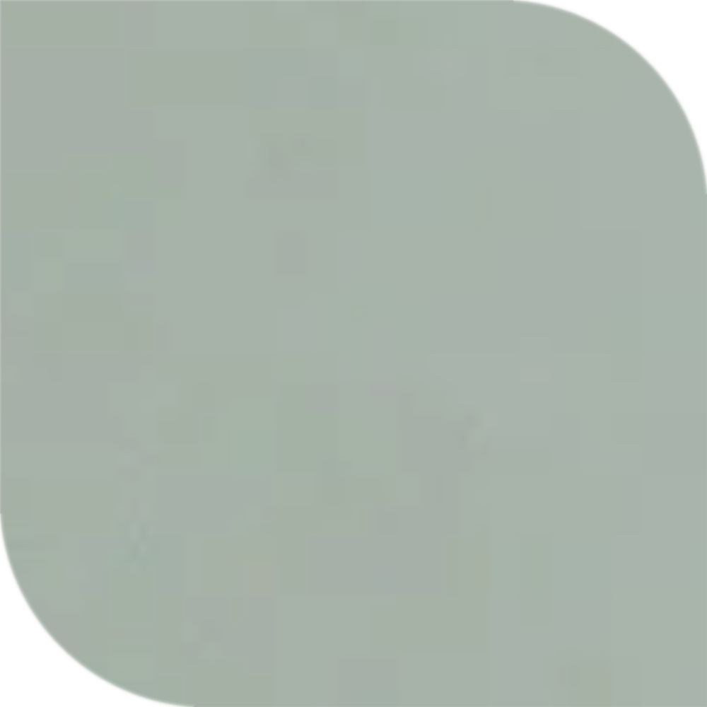 DSG SAGE GREEN